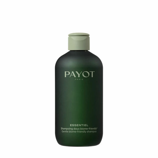 Payot